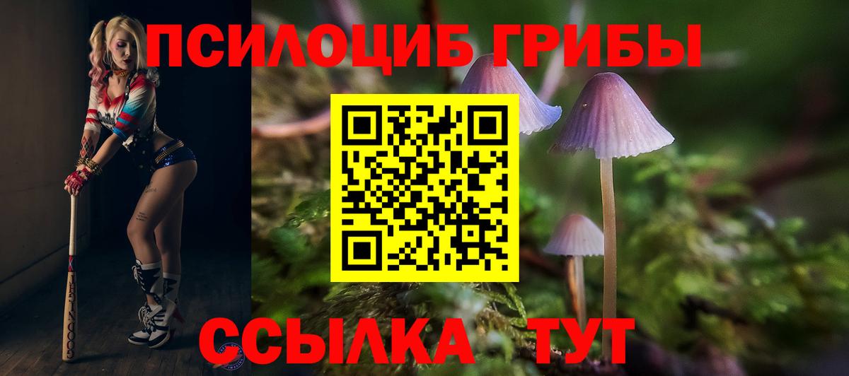 Псилоцибиновые грибы GOLDEN TEACHER Кимры
